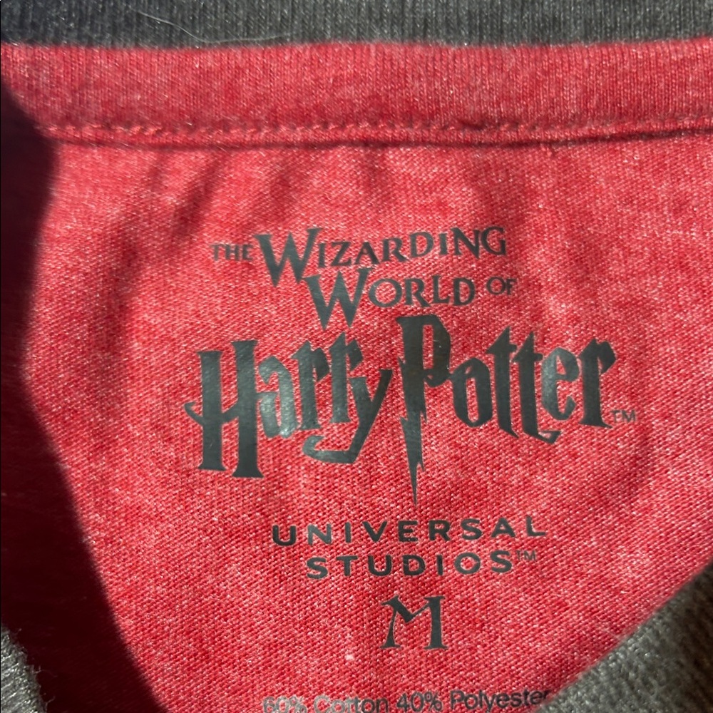 Harry Potter Brave Gryffindor Red and Gray T-Shirt - Picture 2 of 3